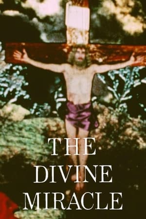 Image The Divine Miracle