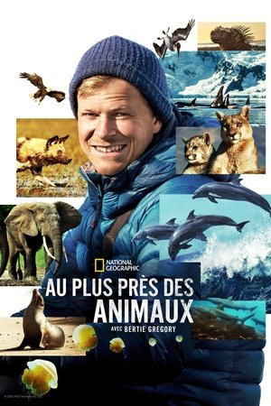 Poster Au plus près des animaux avec Bertie Gregory Saison 1 Les merveilles des Galapagos 2023