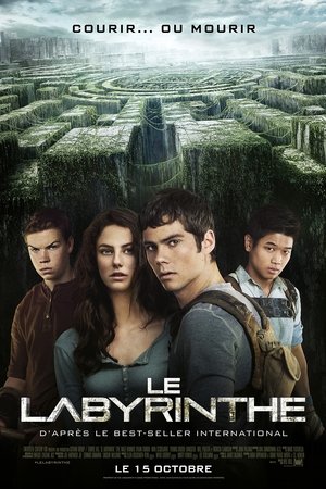 poster The Maze Runner