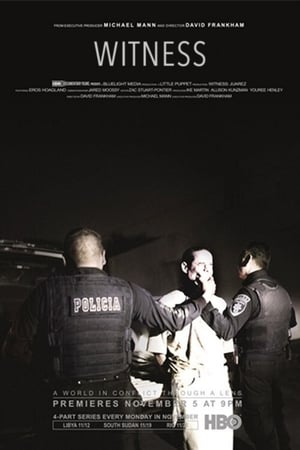 Poster Witness 2012