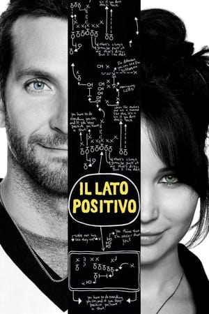 Il lato positivo (2012)