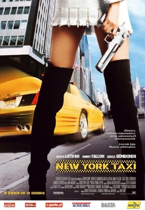 New York Taxi 2004