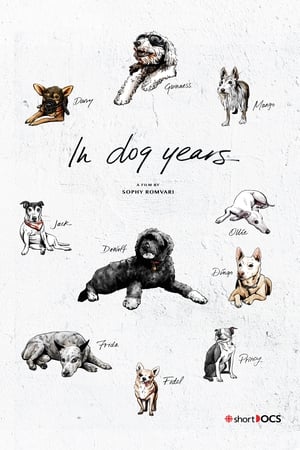 In Dog Years