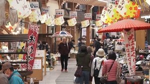 Journeys in Japan: 11×11