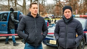 Chicago P.D.: Distrito 21: 6×14