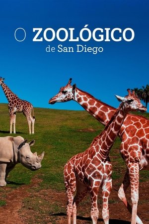 O Zoológico de San Diego
