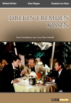 Poster Drei in fremden Kissen 1995