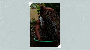 Gelukkig Hebben We De Foto’s Nog!: 1×1