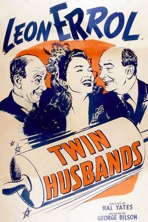 Twin Husbands poster