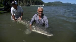 River Monsters Season 2 Episode 4