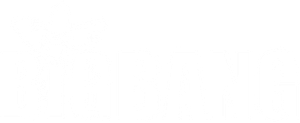 Big Bang — Logos 7