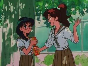 Sailor Moon Makoto’s Friendship! The Girl Who Admired Pegasus