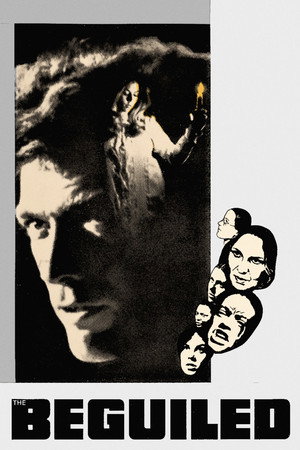 Постер фильма «Обманутый (1971)» — (11 из 37)