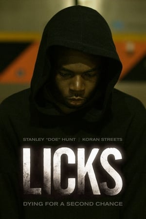 Poster Licks (2013)