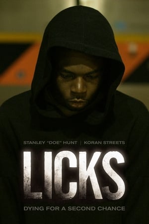 Poster Licks 2013