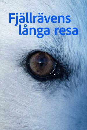 Fj&auml;llr&auml;vens l&aring;nga resa