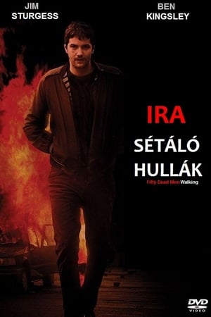 Poster IRA - Sétáló hullák 2008