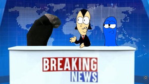 Mr. Socko’s New Show