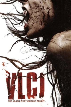 Poster Vlci 2006