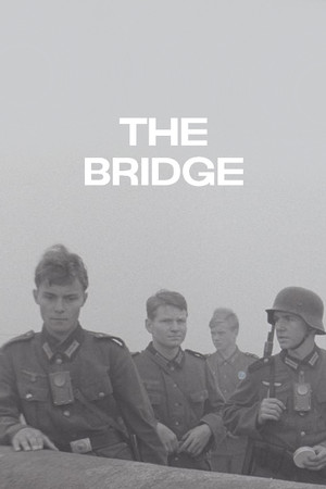 The Bridge 31