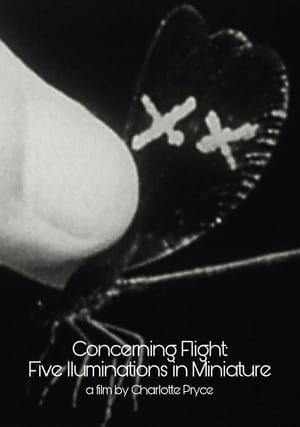 Concerning Flight: Five Illuminations In Miniature