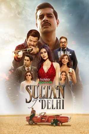 Poster दिल्ली का सुल्तान 2023