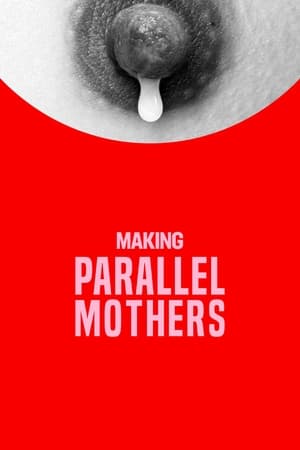 Poster Making Parallel Mothers 2022