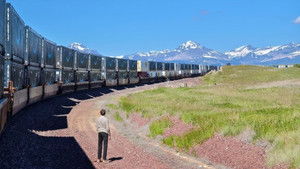 Yard Boys: Freight Train Hopping America