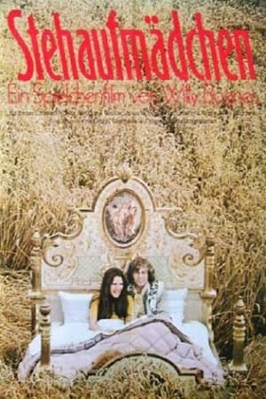 Poster Stehaufmädchen 1970