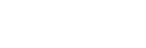 ארנב עכשיו — Logos 2
