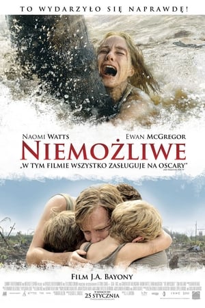 Poster Niemożliwe 2012