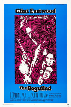 The Beguiled cover