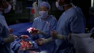 Anatomía de Grey Temporada 7 Capitulo 2