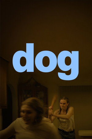 Dog 27