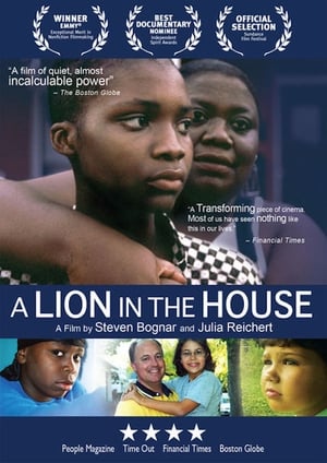 A Lion in the House poster