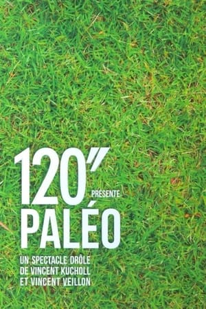 Poster 120" présente Paléo (2015)