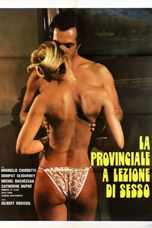 Poster La provinciale a lezione di sesso (1980)