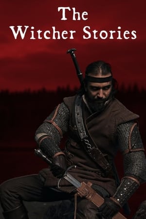 Image The Witcher Stories