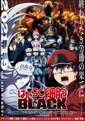 Les Brigades Immunitaires – BLACK – Hataraku Saibou Black: Saison 1 Episode 10