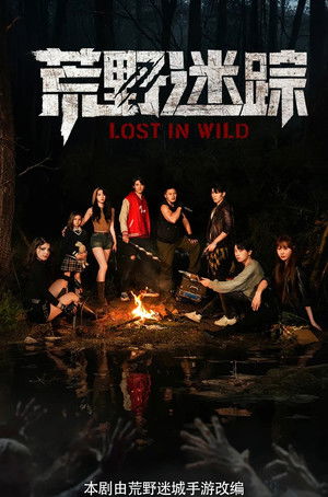 荒野迷踪