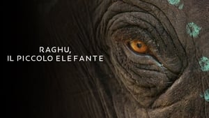 The Elephant Whisperers (2022) Sinhala Subtitles | සිංහල උපසිරසි සමඟ