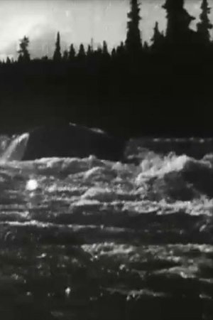 White Horse Rapids> (1900>)