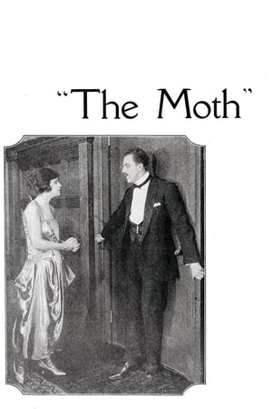 Poster The Moth 1917