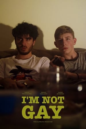 Poster I’m Not Gay (2020)