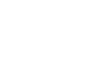 Divertida Mente