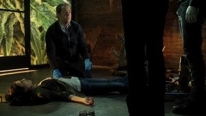 CSI: Crime Scene Investigation Season 15 Episode 2