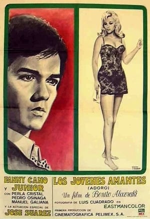 Poster Los jóvenes amantes 1971