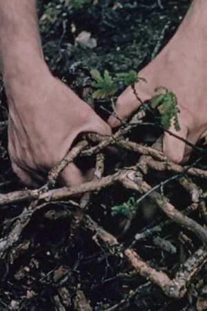Nonton film Progress? (1971) terbaru sub indo Nonton film Progress? (1971) terbaru sub indo