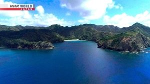 A Miraculous Paradise of Life: Ogasawara Islands