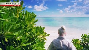 Journeys in Japan: 13×18